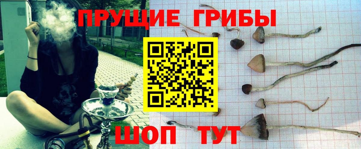 Псилоцибиновые грибы MAGIC MUSHROOMS Будённовск