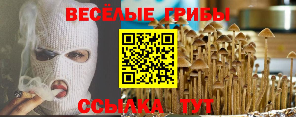 Псилоцибиновые грибы Magic Shrooms Будённовск